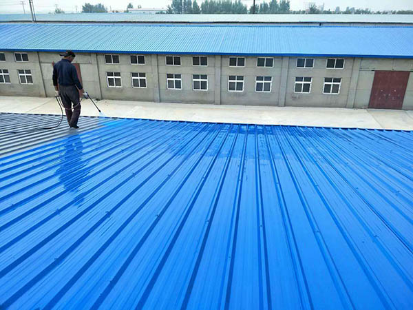 大新 彩钢瓦喷漆翻新工业厂房、仓库